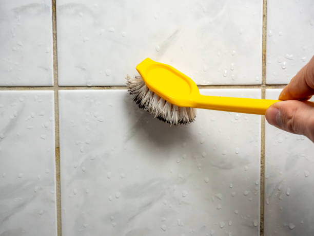 Best Attic Mold Removal  in Whiteville, NC