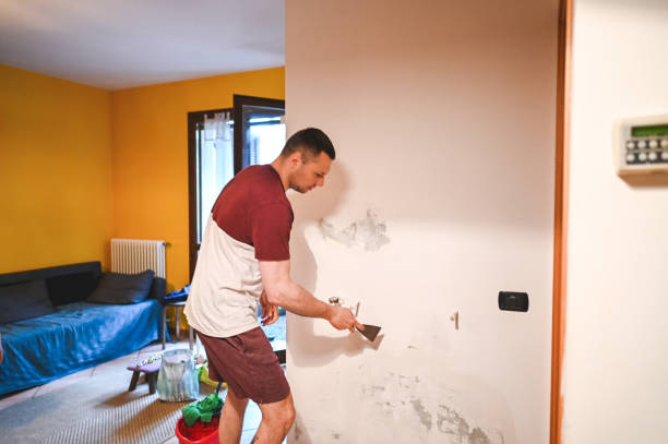 Best Office Mold Removal Services  in Whiteville, NC
